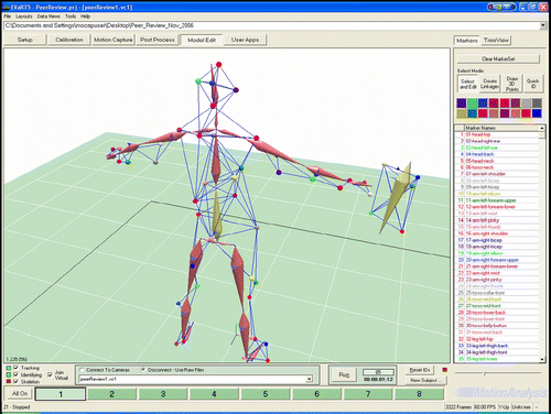 Figure 4 Marker set and skeleton presentation.