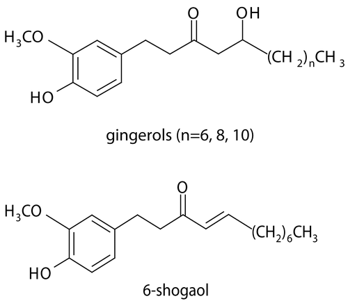 Figure 1.  Structures of the gingerols and shogoal from ginger rhizome extract.
