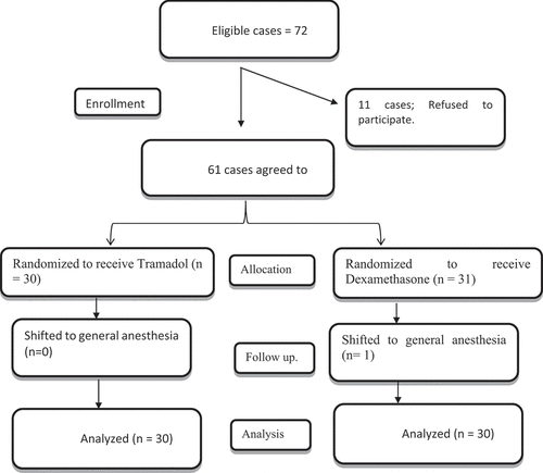 Figure 1. Study flow chart.