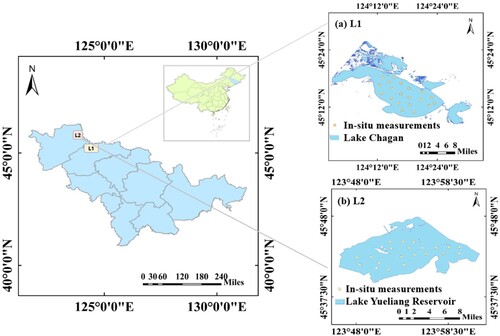 Figure 1. The overview of the study area and the distribution of field measurements. The left part shows the geographical location and the right part shows the two lakes. L1 refers to Lake Chagan, and L2 refers to Lake Yueliang Reservoir.