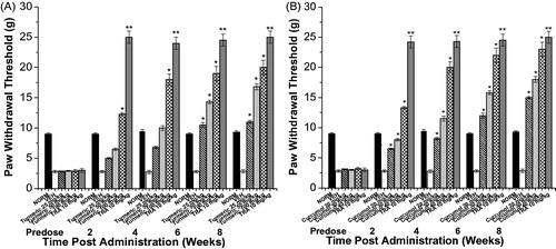 Figure 5. The effect of C. Longa EtOH extract (turmeric), curcumol, and tramadol (TRA) 10 mg/kg on tactile allodynia in the neuropathic model in alloxan-induced diabetic mice. (A) Turmeric group: paw withdrawal thresholds to von Frey filaments were determined on hind paw prior to (Predose) and up to 8 weeks following i.p. injection of 25, 50, and 100 mg/kg turmeric. (B) Curcumol group: paw withdrawal thresholds to von Frey filaments were determined on hind paw prior to (predose) and up to 8 weeks following i.p. injection of (20, 30, and 40 mg/kg) curcumol. (NORM) normal non-diabetic untreated mice. *p ≤0.05 and **p ≤0.01 compared with vehicle (VEH) (n=7 animals/group).