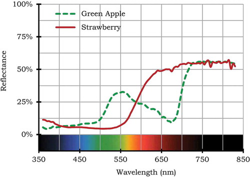 Fig. 3 Spectral reflectance functions for a green apple and strawberry.