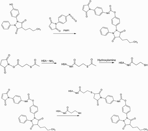 Figure 4. OPBZ is activated by reacting the hydroxyl group with the isocyanate group of the cross-linker PMPI. The carrier protein is modified with SATP to introduce sulphhydryl groups that are then reacted with the maleimide group on the other end of PMPI to create a stable thioether coupling.