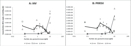 Figure 1. Raw data of particle size distribution (concentration of log 10 RNA copies/m3 of air) of influenza A virus (IAV) and porcine reproductive and respiratory syndrome virus (PRRSV) detected at different sampling periods by the Andersen cascade impactor (ACI) and the high volume Tisch cascade impactor (TCI) from mechanically generated aerosols. Lowest particle size geometric values represent the data from the back up filters. The results of the black line correspond to the ACI and the gray line to the TCI.