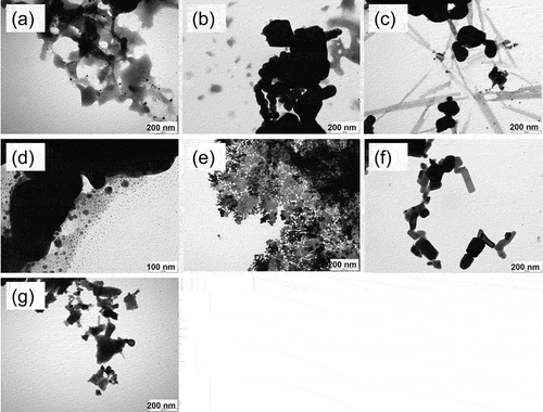Figure 2. TEM images of Ag/Ag2O (sintering temperature 140°C (a), 170°C (b), 200°C (c)), Ag (d), Ag2O (e), Ag/Ag2O/ZnO (f) and ZnO (g).