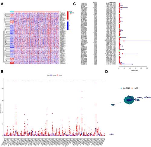 Figure 1 Identification of m6A-related lncRNAs in CRC in TCGA Cohort.