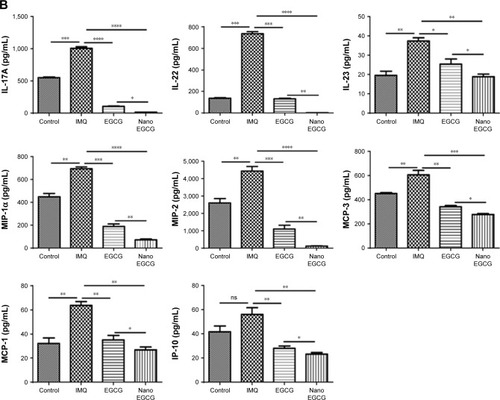 Figure 8 Effect of topical application of free EGCG and nanoEGCG on the expression of signature inflammatory cytokines and chemokines in IMQ-treated mouse skin. (A, B) Expression levels of secreted pro-inflammatory and anti-inflammatory cytokines and chemokines using the mouse-specific 36-Plex ProcartaPlex multiplex immunoassay as described in Materials and methods and Supplementary materials. Total back skin lysates were isolated from the 4 treatment groups and equal protein aliquots were processed for expression levels of: (A) pro-inflammatory or anti-inflammatory Th1 and Th2 cytokines as well as activators of granulocytes and/or monocytes/macrophages, and (B) Th17/Th22/Treg cytokines as well as type 1 and type 2 chemokines along with granulocyte and monocyte/macrophage chemokines. Bars are mean±SEM for each cytokine and chemokine, and statistical significance for comparisons is shown as *p<0.05, **p<0.01, ***p<0.001, and ****p<0.0001.Abbreviations: EGCG, (–)-epigallocatechin-3-gallate; nanoEGCG, chitosan-based polymeric nanoparticle formulation of EGCG; IMQ, imiquimod; IFN-γ, interferon-γ; TNF-α, tumor necrosis factor-α; LIF, leukemia inhibitory factor; G-CSF, granulocyte–colony-stimulating factor; M-CSF, macrophage–colony-stimulating factor; MIP, macrophage inflammatory protein; MCP, monocyte chemoattractant protein; IP, interferon-inducible protein.