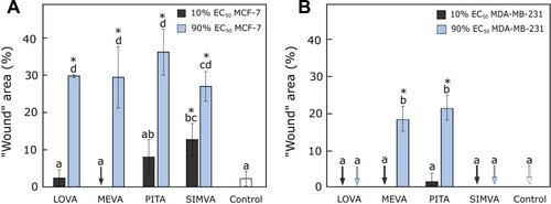 Figure 3 Activity of statins on cell migration. (A) The percentage of “wound” area after 72 hours treatment with statins in MCF-7 cell line. (B) The percentage of “wound” area after 72 hours treatment with statins in MDA-MB-231 cell line. Arrows mark the “wounds” that “closed” completely. The asterisks (*) indicate p<0.05 compared to control. Bars marked with different letters indicate statistically significant differences (p < 0.05) within the same category.