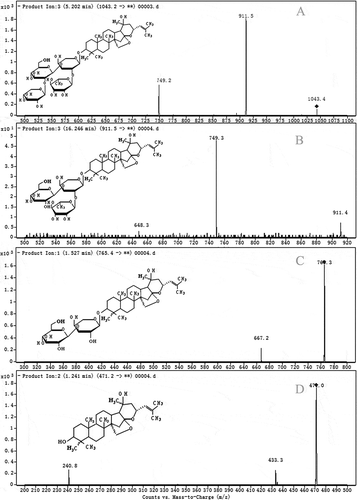 Figure 3  Product ions chromatograms of the metabolites: (a) MJ1; (b) MJ2; (c) MJ4; (d) MJ7.