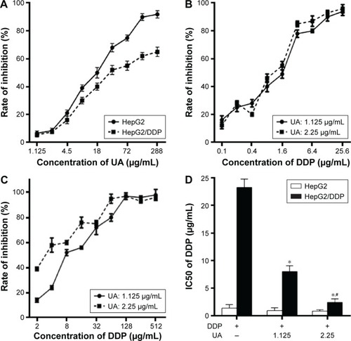 Figure 3 UA potentiates cisplatin-induced growth inhibition.