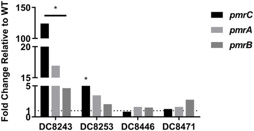 Figure 1 Expression levels of regulatory genes in colistin-heteroresistant isolates. *P<0.05; WT, native isolates.