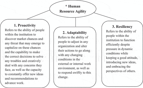 Figure 2. The constructs of agility of human resources.