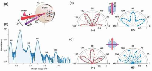 Figure 6. HHG from intrinsic TI BSTS. (a) Schematic of the experimental set-up. A mid-infrared pulse is focused onto the BSTS surface at a small angle of incidence, the HHG are measured in reflection geometry. (b) Typical high-harmonic spectrum generated from BSTS surface. (c) Orientation dependence of the parallel components of H4 and H5, respectively. (d) Shows the perpendicular components of H4 and H5. Reproduced from [Citation96].