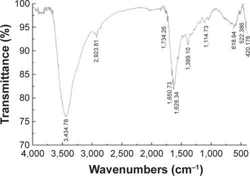 Figure 3 FT-IR spectra of AgNPs.Abbreviations: FT-IR, Fourier transform infrared; AgNPs, silver nanoparticles.