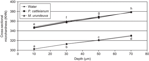 Figure 3.  Cross-sectional micro-hardness (in KHN) from incisors (solid lines) or molars (dashed lines) as a function of depth after exposure to water or the extracts for 7 weeks (mean ± se, n = 10). Distinct letters show statistical difference between treatment groups and depth (ANOVA, p<0.05).
