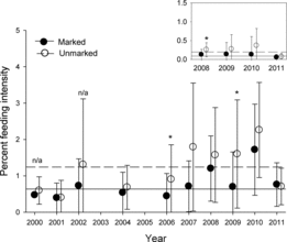 FIGURE 6. Annual means (±SE) of feeding intensity (weight of prey expressed as a percentage of total body weight) for hatchery (marked; filled circles) and unmarked (open circles) steelhead sampled in the ocean off the coasts of Oregon and Washington (main panel) and in the Columbia River estuary (inset) from 2000 to 2011. Horizontal lines are the overall means across all years for marked steelhead and unmarked fish. An asterisk indicates a significant difference between marked and unmarked fish in that year and habitat. Ocean data are not shown for 2003 or 2005 because too few fish were captured during those years.