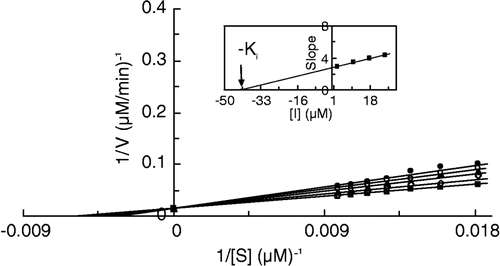 Figure 7 Double reciprocal Lineweaver-Burk plots of MT kinetic assay for catecholase reactions of MeBACat in 10 mM phosphate buffer, pH 6.8, at temperature of 20°C and 11.11 μg/mL enzyme concentration, in the presence of different concentrations of III: 0 mM (▪), 0.0025 mM (◊), 0.01 mM (▴), 0.0175 mM (○), 0.025 mM (•). Inset: secondary plot of the slope against different concentrations of inhibitor, which gives the inhibition constant ( − Ki) from the abscissa-intercept.