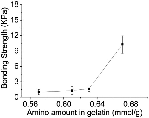 Figure 9. The bonding strength of porcine skin adhered by mixing solution of 40 wt% ASA-1 (OD is 23%) and 40% (w/v) AG with different amount of the amino groups.