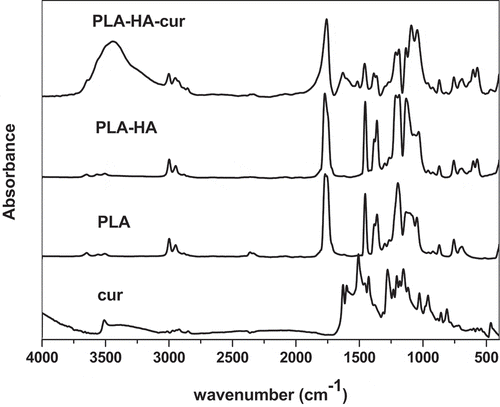 Figure 1. FTIR of pure curcumin, pure PLA, PLA-HA scaffold and PLA-HA-cur biocomposite scaffold.