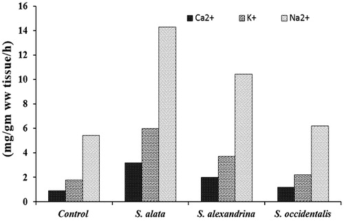 Figure 1. Effects of crude leave extract of S. alata, S. alexandrina and S. occidentalis on the rate of Ca2+, Na2+ and K+ efflux by H. diminuta.
