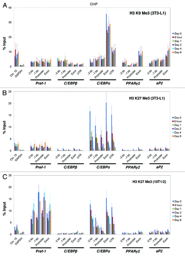 Figure 4. Histone H3 K9 and K27 tri-methylation states at the genomic loci of key adipogenic regulators during 3T3-L1 and C3H 10T1/2 adipogenesis. Levels of histone (A) H3 K9 tri-methylation and (B) H3 K27 tri-methylation were examined by ChIP analysis at the genomic loci of the key adipogenic regulators Pref-1, C/EBPβ, C/EBPα, PPARγ2 and aP2 during the adipogenesis of 3T3-L1 cells. (C) The H3 K27 tri-methylation state during the adipogenesis of C3H 10T1/2 cells. The primers used in this study are described in Figure 2. ChIP samples were collected at the indicated time points. These results are the averages of three independent ChIP-qPCRs, and the error bars indicate standard deviations.