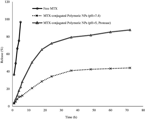 Figure 4. Release profile of mitoxantrone (MTX) from MTX-EDA-PEG-EDA-HA NPs. Nearly 87.70% of MTX has been released in 72 h under lysosome-like condition (pH 5, 37 °C and pure protease). However, 96.70% of free MTX crossed across the pores of the dialysis membrane only in 5 h.
