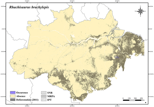 Figure 62. Occurrence area and record of Rhachisaurus brachylepis in the Brazilian Amazonia, showing the overlap with protected and deforested areas.