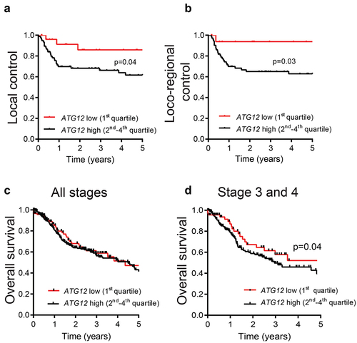 Figure 2. ATG12-deficiency is associated with improved prognosis in late stage HNSCC patients.