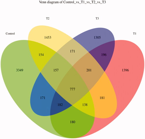 Figure 2. Venn diagram of feature. According to the feature abundance table, the number of features in each group was calculated, and the number of common and unique features in each group was visualised by Venn diagram, if the feature existed in only one group, it was unique to that group. T1 means 0.5% enzymolytic soybean meal addition group, T2 means 1.0% enzymolytic soybean meal addition group, and T3 means 1.5% enzymolytic soybean meal addition group.