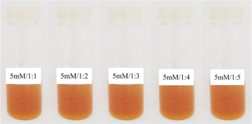 Plate 12. Reaction mixtures with 5mM reagent concentrations and five different extract volumes after placing them for incubation at 60°C for 4h.