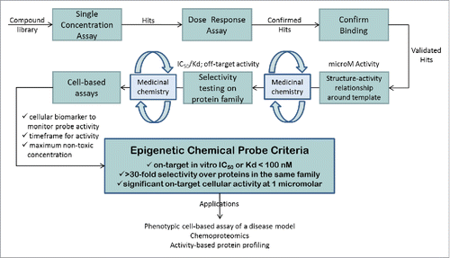 Figure 1. Schematic representation of the workflow used to generate epigenetic chemical probes.