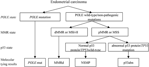 Figure 2 Recommended molecular typing detection pathway.