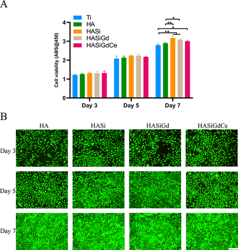 Figure 5 (A) Cell viability of MC3T3-E1 evaluated by CCK-8 assay. (B) Fluorescence images of calcein-AM/PI staining of MC3T3-E1, scale bar: 200 μm. *P < 0.05, **P < 0.01.