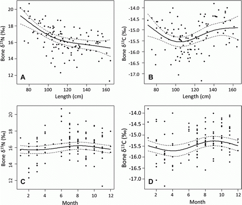 Figure 4.  Porpoise (Phocoena phocoena) isotopic composition of bone; effect of length on δ15N (A) and δ13C (B), effect of month on δ15N (C) and δ13C (D). Solid line presents the mean model estimate and the dotted lines the 95% confidence intervals.