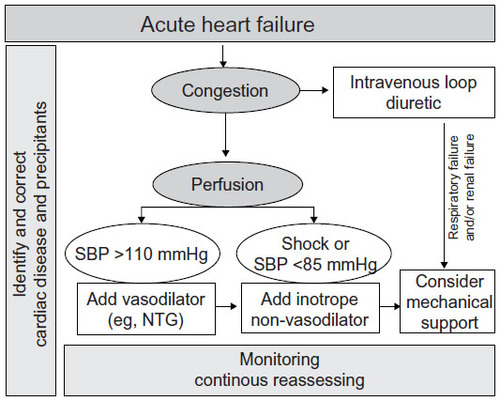 Figure 1 General algorithm for management of acute heart failure.