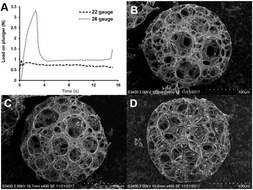 Figure 7. Results of injectability study of PPM3: (A) profiles of load required to expel the PPM suspension from syringes with 22- and 26-gauge needles as a function of time; morphology of PPM3 observed (B) before and after the injectability test through needles of (C) 22 and (D) 26 gauge.