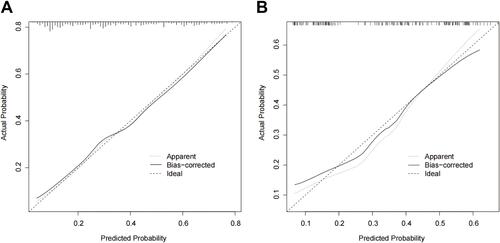 Figure 4 Calibration curve for the risk prediction model of COPD-PH. (A) Calibration curves in the training set. (B) Calibration curves in the validation set. The x-axis depicts predicted PH risk; the y-axis, diagnosed PH. A slope of 45° indicates the best calibration, while a prediction line above or below 45° indicates an underestimate or overestimate of the actual patient risk.