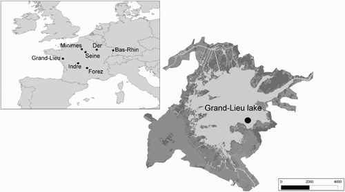 Figure 1. The lake of Grand-Lieu and the seven other ringing sites of Common Pochards and Tufted Ducks which are part of our monitoring scheme in France. On Grand-Lieu, light grey areas represent open water and aquatic vegetation; dark grey areas indicate the various habitats types surrounding open water (prairies, crops, reed banks, forested areas, etc.). The black dot is the ringing site. (Scale: Grand-Lieu = m, French territory and Western Europe, km).