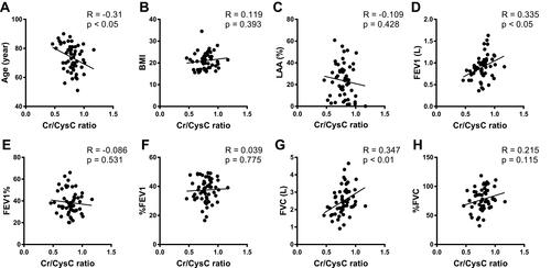 Figure 7 The figures show the correlation analyses between the serum Cr/CysC ratio and FEV1, %FEV1, FVC, and %FVC. Comparing the group 65 years and older (A) with the group younger than 65 years (B), the pulmonary functions are better correlated with the Cr/CysC ratio in the group younger than 65 years. Age, FEV1, and FVC are weakly correlated with the serum Cr/CysC ratio.