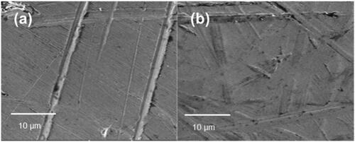 Figure 2. Representative SEM images of smooth (a) and rough (b) alloy surfaces.