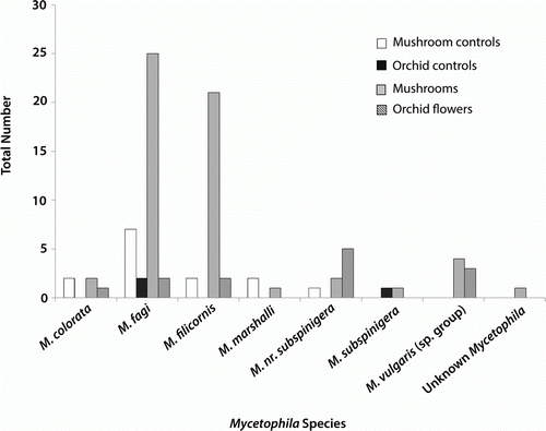 Figure 3  Flies of the genus Mycetophila trapped above mushrooms, mushroom controls, Corybas cheesemanii orchids and orchid controls.