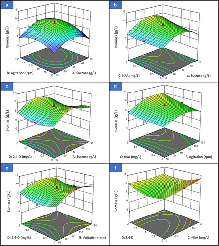 Figure 3. Three-dimensional (3D) response surface plot of KCB production of Hibiscus cannabinus showing the interaction between; (a) sucrose and agitation, (b) sucrose and NAA, (c) sucrose and 2,4-D, (d) agitation and NAA, (e) agitation and 2,4-D and (f) NAA and 2,4-D.