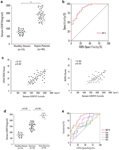Figure 11. Serum GDF15 level is correlated with poor prognosis in patients with sepsis. A. Scatter plot of serum GDF15 levels in healthy blood donors and septic patients at admission. B. AUC distinguishes sepsis patients from healthy controls. C. Correlation between serum GDF15 level and (c) Apache II score and (d) SOFA score at admission in ICU. D. The serum GDF 15 levels of survival group and non survival group. E. AUROC predicts 28-day mortality.
