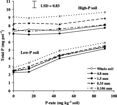 Figure 7  Effect of aggregate size on total P in shoots of rice. Error bar represents one least significant difference (LSD) at P < 0.05.
