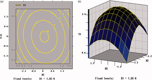 Figure 10. Contour plots and Response surface of arginine (X2) and skim milk (X3) for the viable counts of per unit freeze-dried powder of BB01 (Y2).