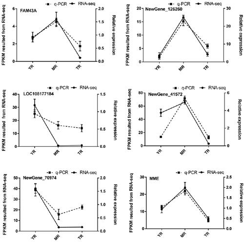 Figure 7 Validation of six DEGs by q-PCR.