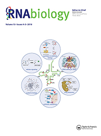 Cover image for RNA Biology, Volume 15, Issue 4-5, 2018