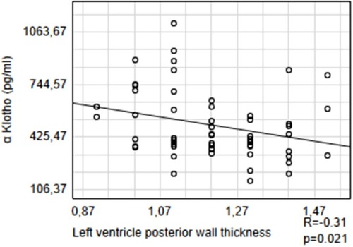 Figure 3 Relationship between αKlotho and left ventricular posterior wall thickness.