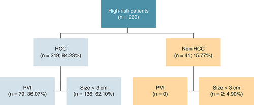 Figure 1. Study flow chart of patients with high risk for hepatocellular carcinoma and numbers of patients with portal vein invasion and size of over 3 cm.HCC: Hepatocellular carcinoma; PVI: Portal vein invasion.