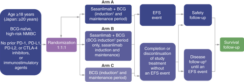 Figure 2. Study design. CREST is a phase III study evaluating the efficacy and safety of sasanlimab in combination with BCG versus BCG monotherapy for patients with BCG-naive high-risk NMIBC. EFS is defined as the time from randomization to date of the first EFS event. †Re-induction is permitted for participants with CIS at randomization who have persistent disease at 3 months after initiating study treatment, or participants who have recurrence of high-grade Ta disease at 3 months after initiating study treatment (TURBT is required before re-induction). ‡Only participants who complete treatment with no evidence of disease progression or recurrence proceed to disease follow-up.BCG: Bacillus Calmette-Guérin; CIS: Carcinoma in situ; CTLA-4: Cytotoxic T lymphocyte-associated antigen 4; EFS: Event-free survival; NMIBC: Non-muscle-invasive bladder cancer; PD-1: Programmed cell death-1; PD-L1/PD-L2: Programmed cell death-ligand 1/2; Ta: Stage of bladder cancer defined as a non-invasive papillary carcinoma; TURBT: Transurethral resection of bladder tumor.